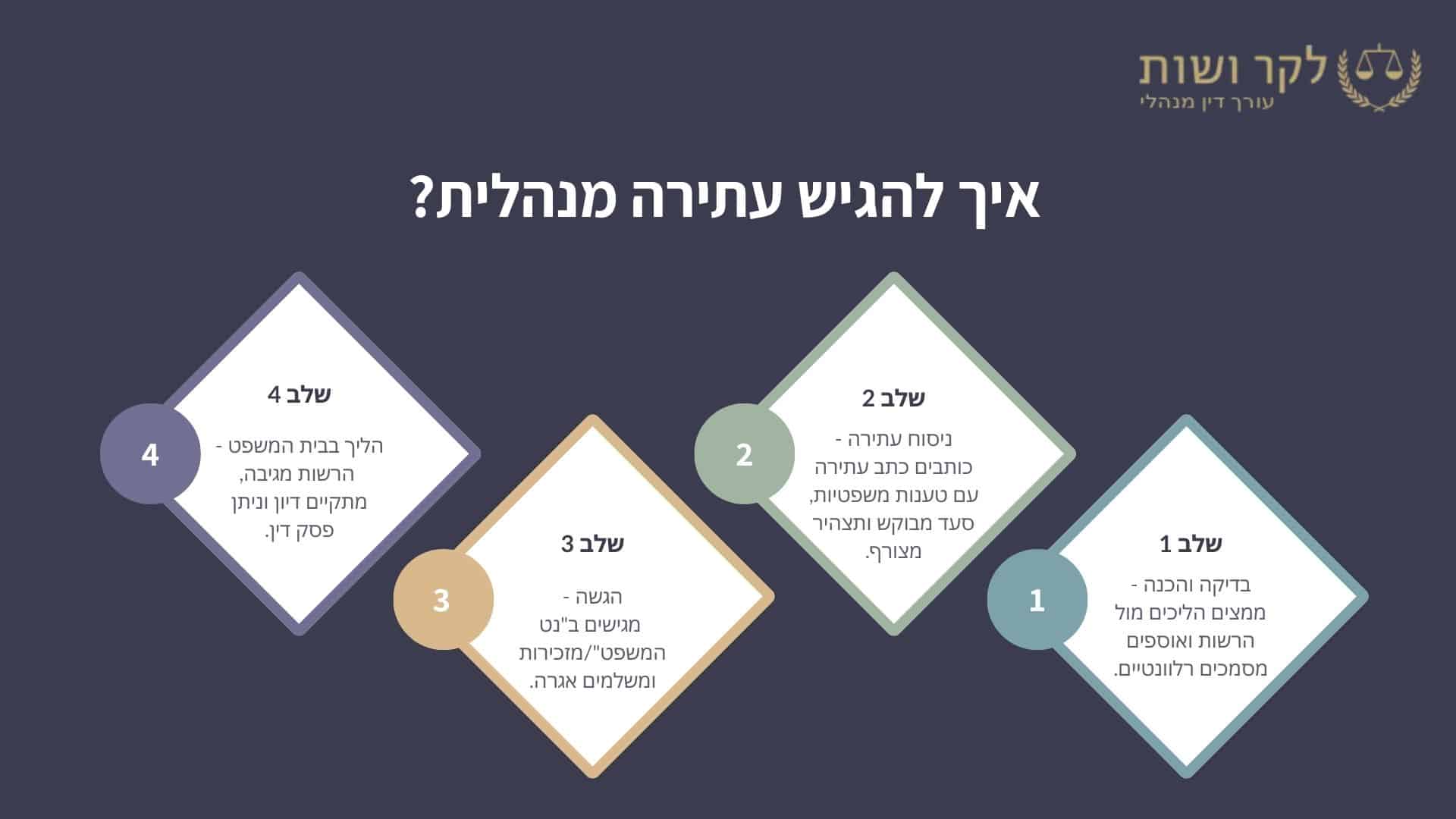 אינפוגרפיקה איך להגיש עתירה מנהלית - עורך דין מתן לקר