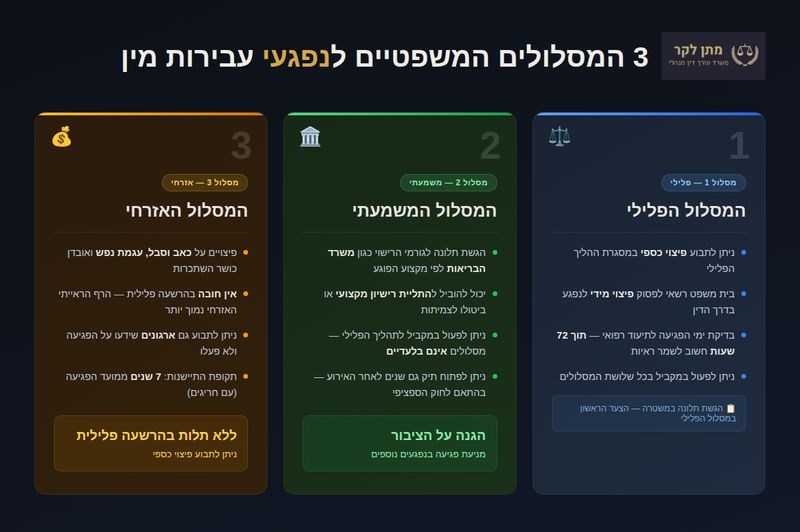 3 מסלולים משפטיים